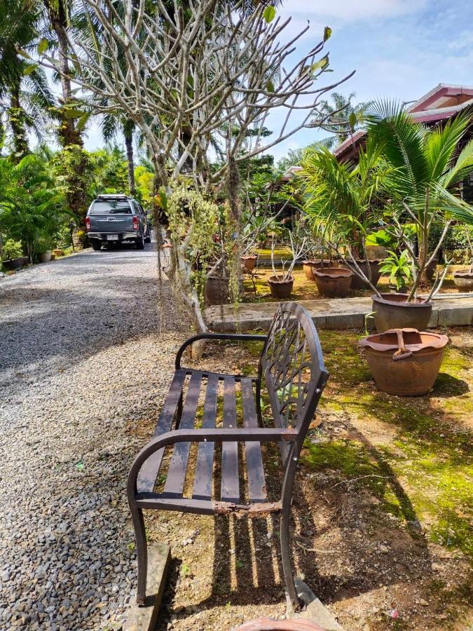 Palm Tian A7 * Ban Chong Phli